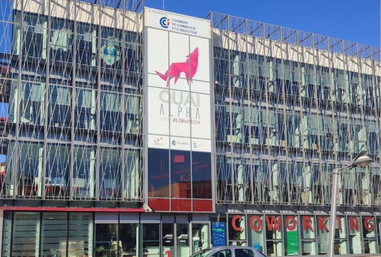 Logement Spacieux - Face A La Gare Et Centre-Ville Épinal Esterno foto